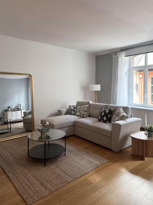 Hypercentre 80M2, A Deux Pas Du Chateau Des Rohan Saverne Buitenkant foto