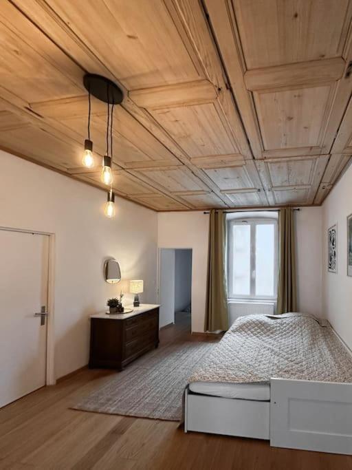 Hypercentre 80M2, A Deux Pas Du Chateau Des Rohan Saverne Buitenkant foto