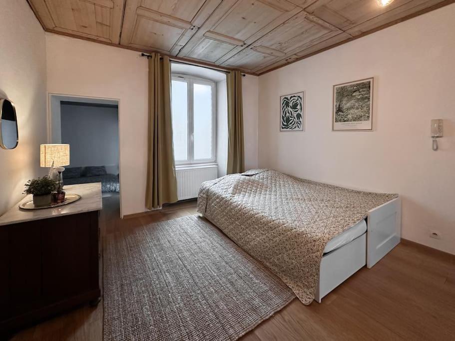 Hypercentre 80M2, A Deux Pas Du Chateau Des Rohan Saverne Buitenkant foto